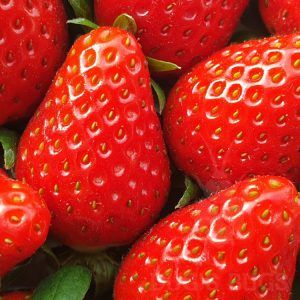 photo of strawberries