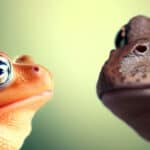 AI generated frog and toad image