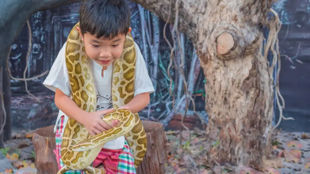 kid holding boa constrictor