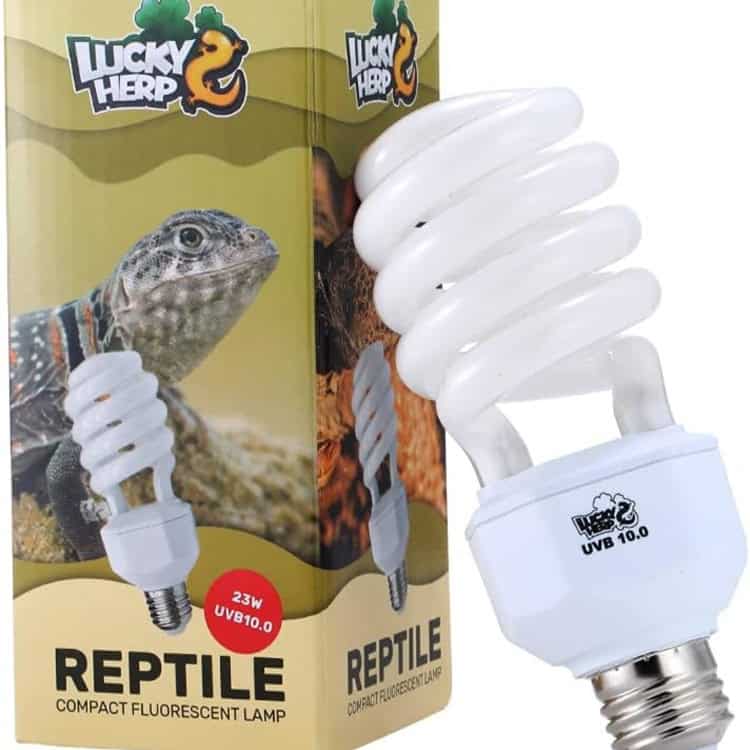 uvb bulb for bearded dragons